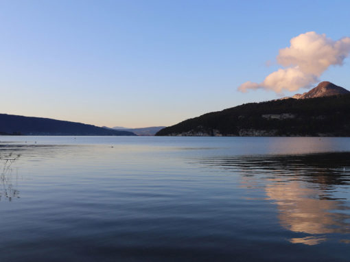 Annecy Bio-Chaleur